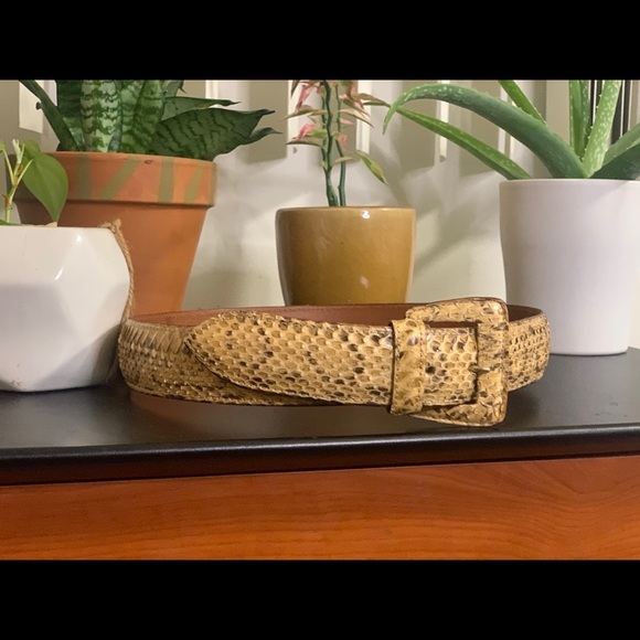 Snake Skin Belt. - Picture 2 of 3
